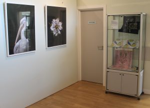 Corner of a room with two frames on the wall on the left and a display case on the right.