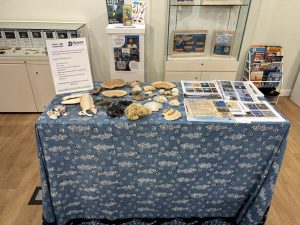 Close up of table with blue cloth on and some shells and pieces of paper on top.