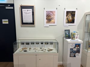 View of a display case with items inside and some photograph on the wall.
