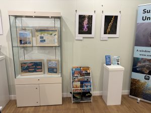 Image of a tall display case with text in, two wall mounted photographs and some children's books on the floor.
